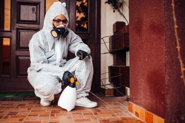 Attic and Crawl Space Rodent Treatment in Oak Hills